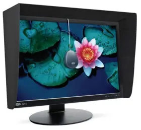 65465 LACIES Ips Lcd Monitor Mac