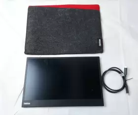 D18140FX0 LENOVO Thinkvision Monitor