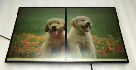 D19270QP1 LENOVO Thinkvision Lcd Monitor Pixels