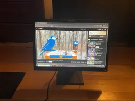 L2250P LENOVO Thinkvision Widescreen Lcd Monitor