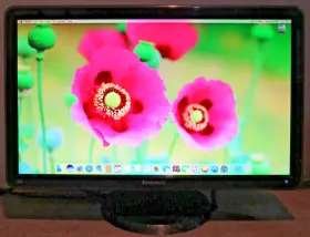 LS2421P LENOVO Led Monitor Vga Hdmi Usb