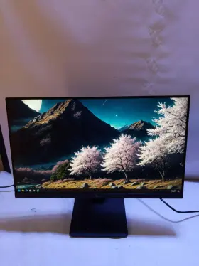 195174010785 LG Monitor Ips Display Virtually