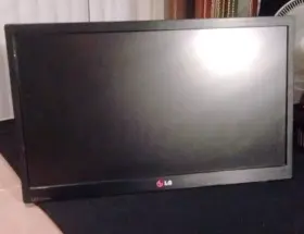 20EN33 LG Led Monitor
