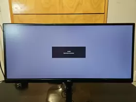 25UM58-P LG Ultrawide Ips Led Monitor