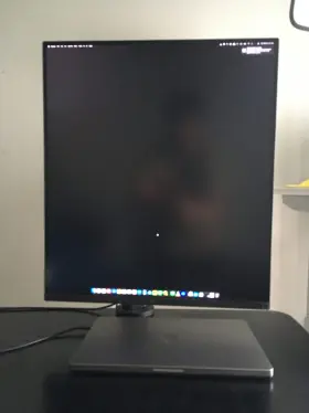 28BQ750C LG Dualup Sdqhd Lcd Ips Monitor