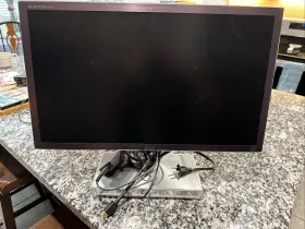 E2290 LG Flatron Monitor