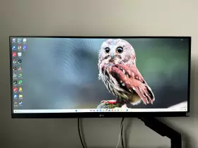 29WQ600-W LG ELECTRONICS Uw Fhd Ips Monitor