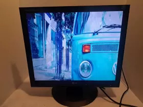L1917S-BN LG Great Flatron Monitor