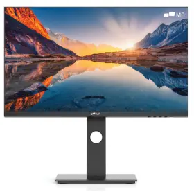 116-1003P01 MOBILE PIXELS Lcd