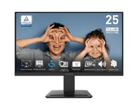 MP253P MSI Fhd Flat Productivity Monitor