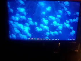 NXG253R MSI Oculux Gaming Monitor Fhd Rapid Ips NXG253R MSI Oculux Gaming Monitor Fhd Rapid Ips