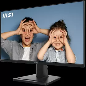 PRO-MP251 MSI Fhd Flat Ips Monitor Speaker #3