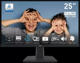 PRO-MP251 MSI Fhd Flat Ips Monitor Speaker