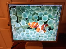 1770VX NEC Multisync Lcd Tilt Swivel Monitor Vga Power Cables #2