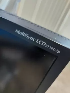 2190UXP NEC Multisync