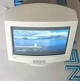 AS70 NEC Accusync Vga Crt Gaming Monitor