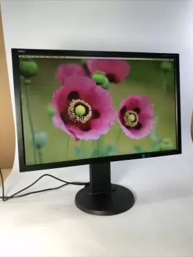 EA243WM NEC DISPLAY SOLUTIONS Multisync Monitors Integrated
