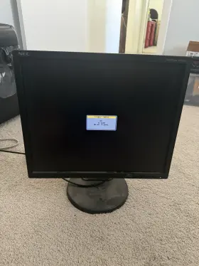 EA19 NEC Multisync Monitor