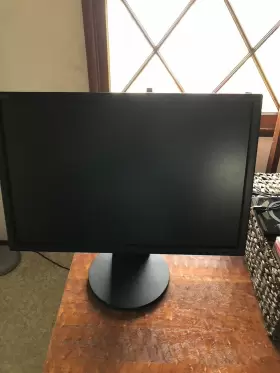 EA221WM-BK NEC Multisync Lcd Desktop Monitor Vga Dvi