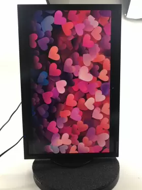 EA304WMI-BK NEC Wqxga Multisync Ips Lcd Monitor Dp Hdmi Vga #3
