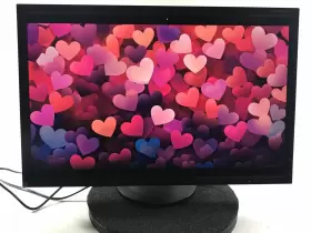 EA304WMI-BK NEC Wqxga Multisync Ips Lcd Monitor Dp Hdmi Vga