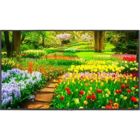 M491-AVT3 NEC Display Ultra High Definition Integrated #2