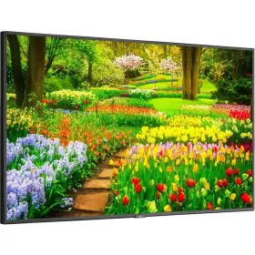 M491-AVT3 NEC Display Ultra High Definition Integrated #3