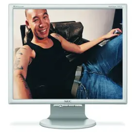 90GX2 NEC-MITSUBISHI Multisync Lcd Monitor
