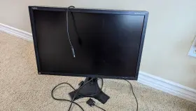 P221W NEC Multisync Monitor
