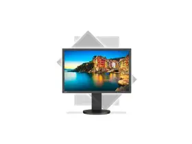 P243W-BK NEC Display