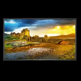 X651UHD-2 NEC Multisync Uhd Format Display Screen #2