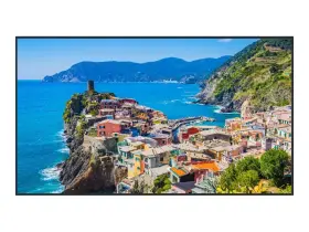 TH-55EQ2W PANASONIC Uhd Sdm Led Lcd Display