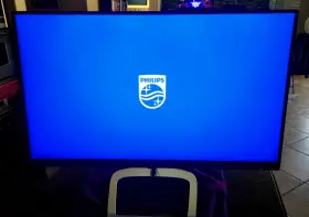 276E9Q PHILIPS Ips Monitor Led Ultra