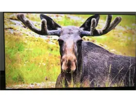 887276935737 SAMSUNG Bed Pro Tv Signage Display