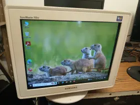 LE17KSBB SAMSUNG Syncmaster Crt Monitor Dynaflat Screen Stand