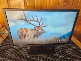 LS24E348ASX-ZA SAMSUNG Widescreen Led Monitor