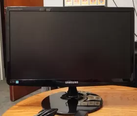 S19A100N SAMSUNG Syncmaster Vga Display Monitor