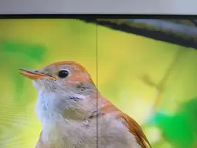 S32AM702UN SAMSUNG Smart Monitor Line Screen #3
