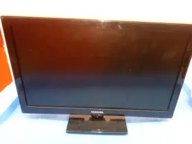 UN19F4000AFXZA SAMSUNG Monitor