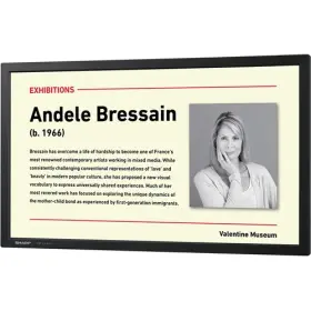 PN-Y325 SHARP Led Monitor Signage Screen