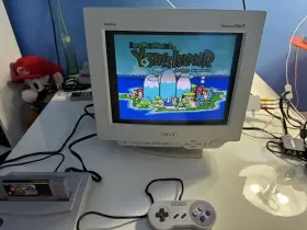 C-20231220-DF.06 SONY Trinitron Multiscan Vga Crt Monitor