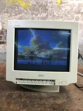 20250107 SONY Dell Ultrascan Trinitron Vga Crt Monitor