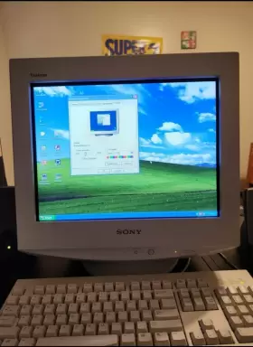 CPD-E210 SONY Trinitron Crt Monitor Great Gaming