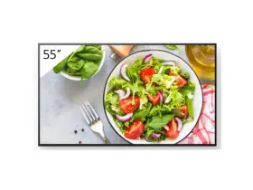 FW55BZ35L SONY Bravia Ultra Hdr Ips Led Display