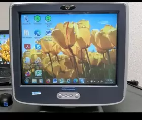 C7D1E-T06 TATUNG Crt Display Svga