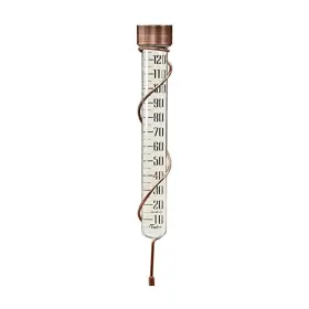 B07FB7ZKL9 TAYLOR Heritage Glass Rain Gauge Monitor