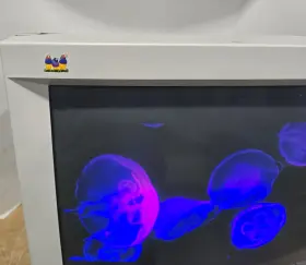 G810 VIEWSONIC Graphics Crt Monitor #2