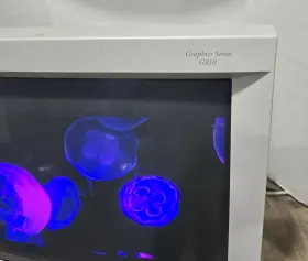 G810 VIEWSONIC Graphics Crt Monitor #3