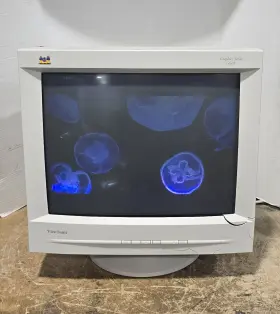 G810 VIEWSONIC Graphics Crt Monitor