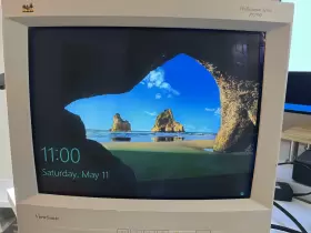PS790 VIEWSONIC Crt Monitor Vga Bnc Rgbhv
